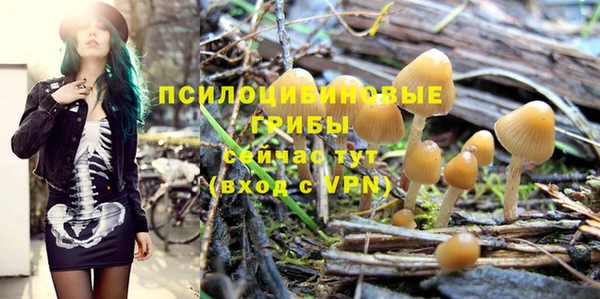 мефедрон Каменногорск