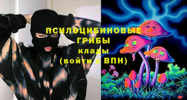 молекула духа Иннополис